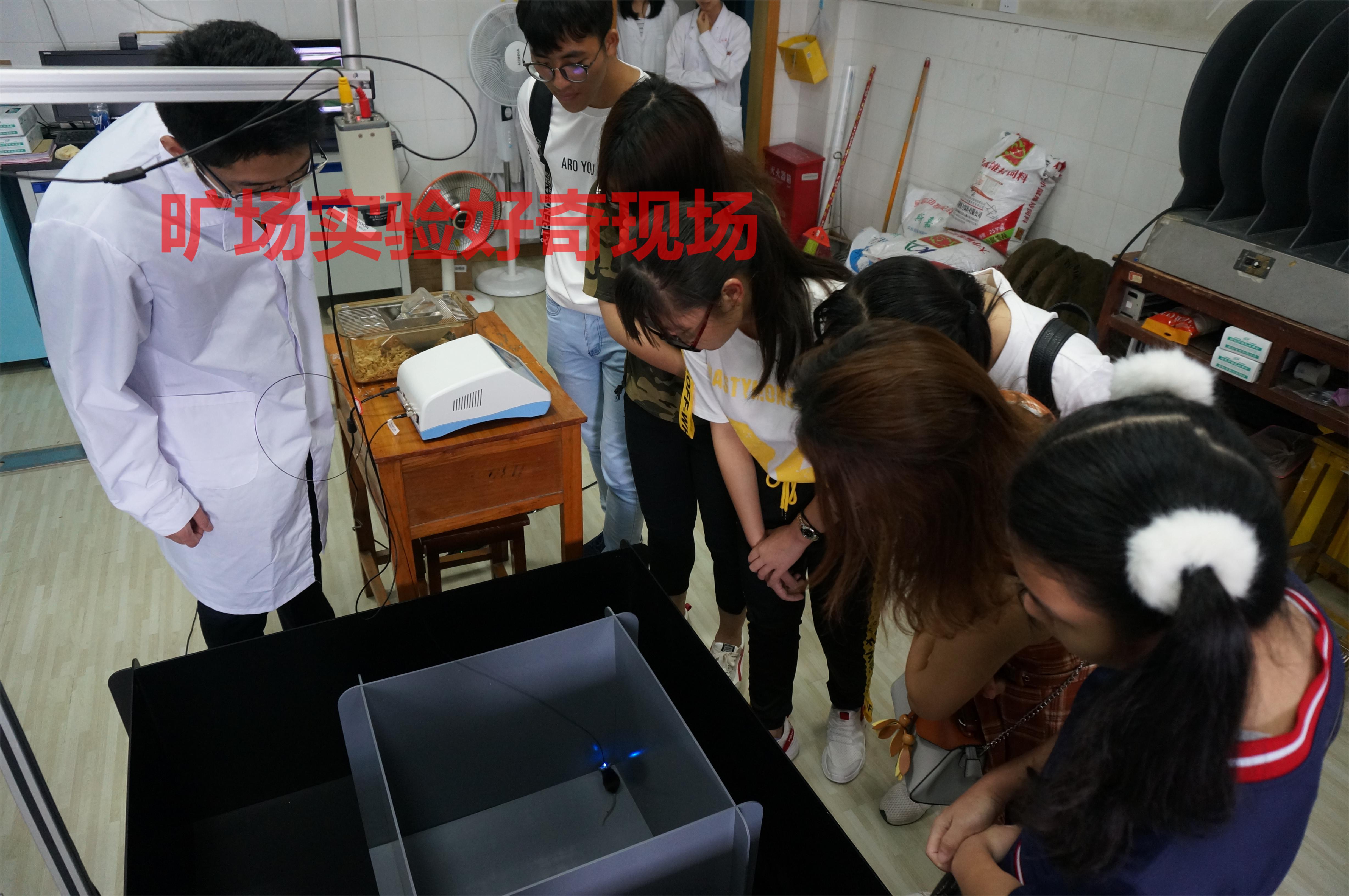 旷场实验(Open Field Test)丨一分钟学习与自制实验箱 - 知乎