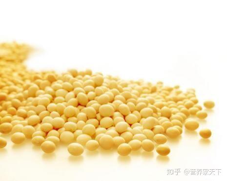 优质蛋白有哪些食物来源 v2-05b327a6b8ee9c2f920c889fb553e6d5_r.jpg