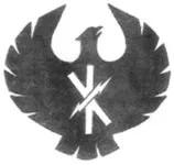 核子武器师Atomwaffen Division (AWD)/国家社会主义秩序 National Socialist Order (NSO ...
