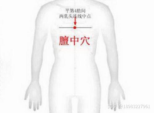 丹田准确位置图，上中下丹田的准确位置图片 - 知乎