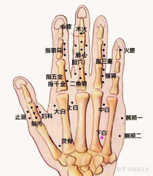 百病三才针特效疗法(一) - 知乎