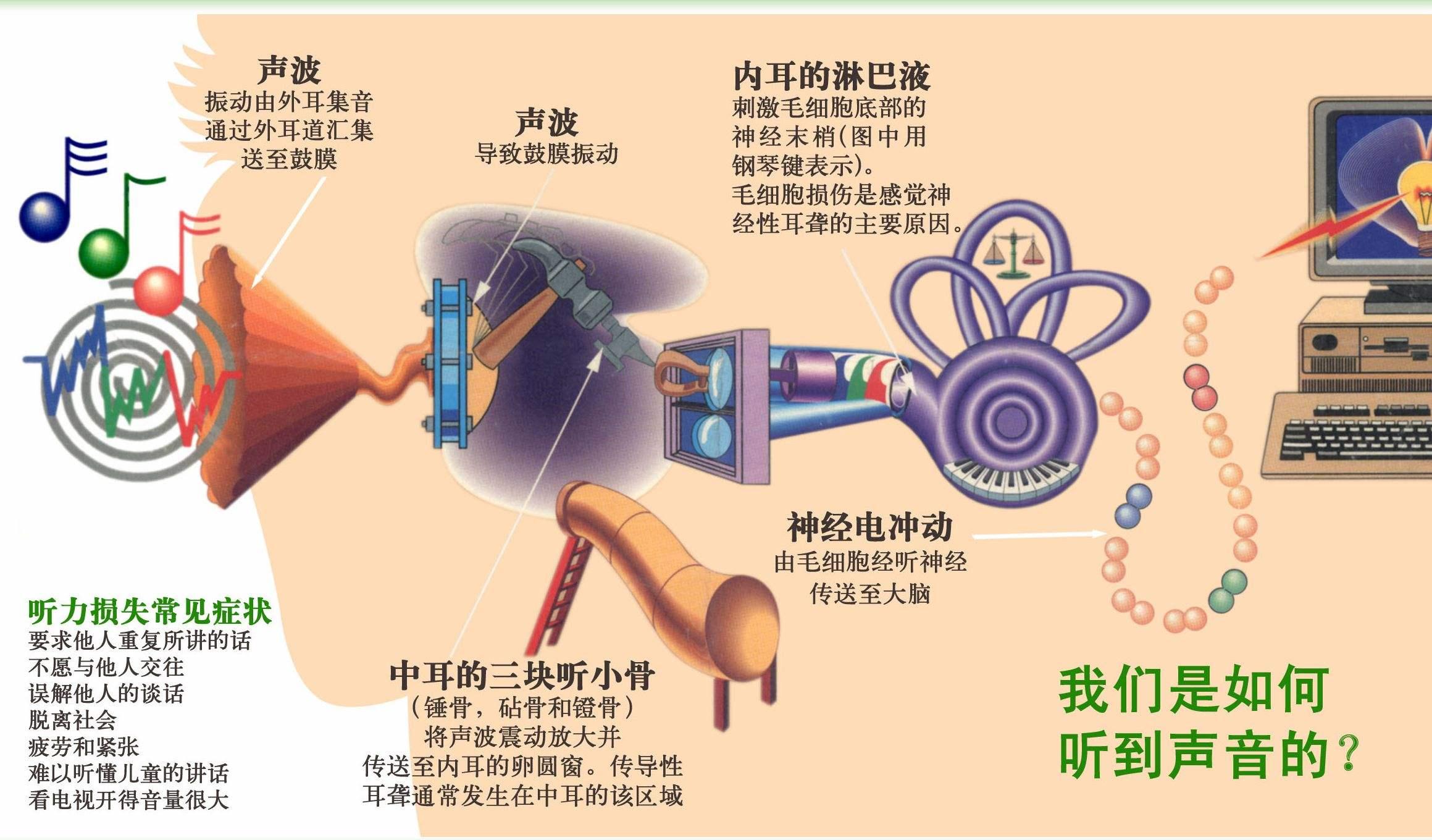 从结构到语言的过程