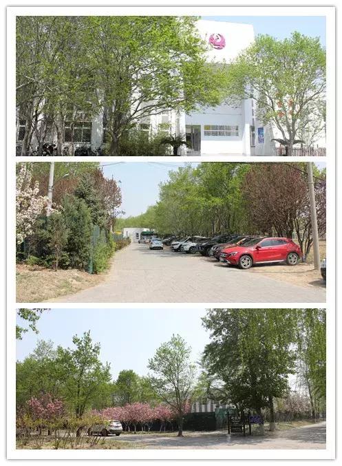 吹面不寒杨柳风——记春天的泓钰学校