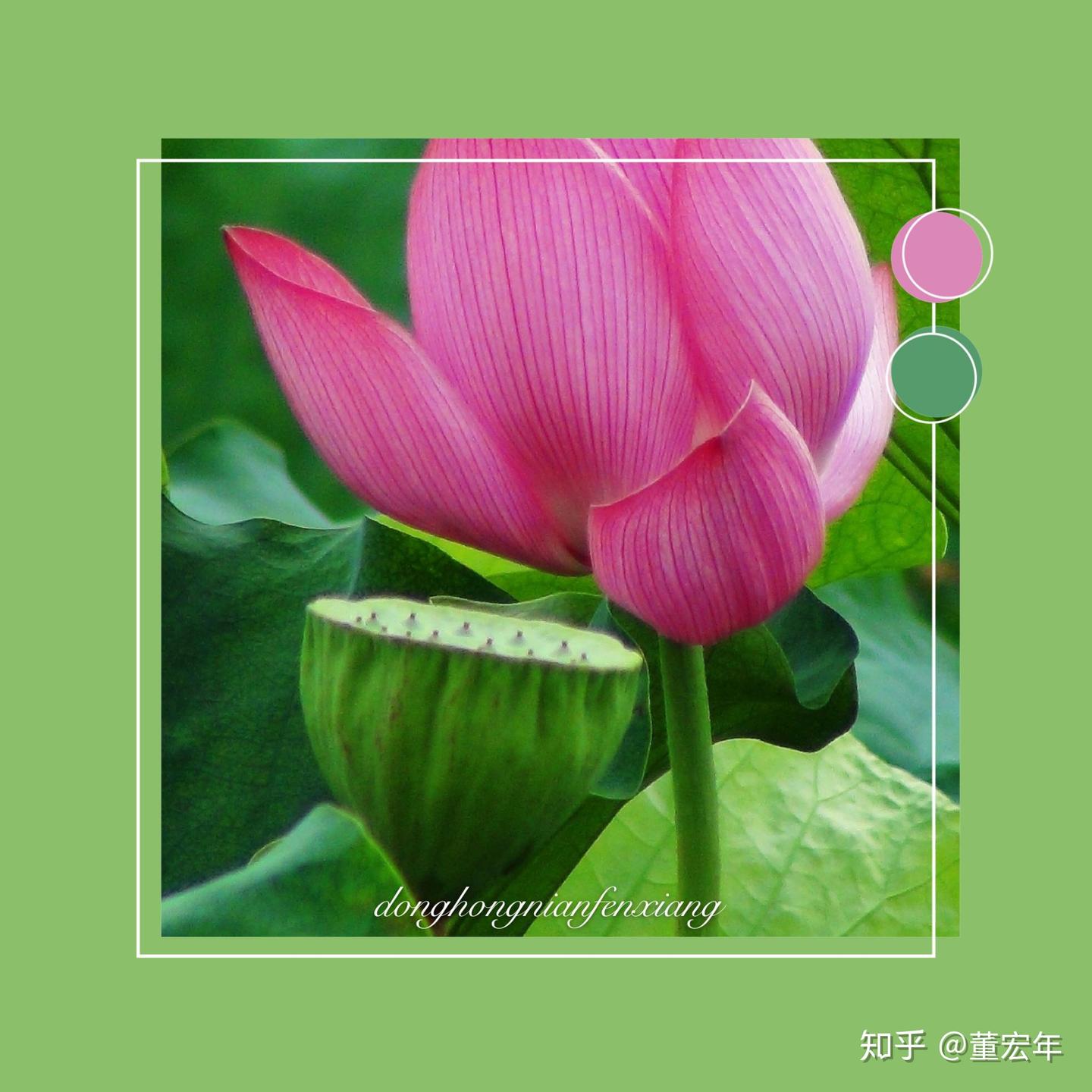 随和,是一种素质,一种文化,一种心态。 - 知乎
