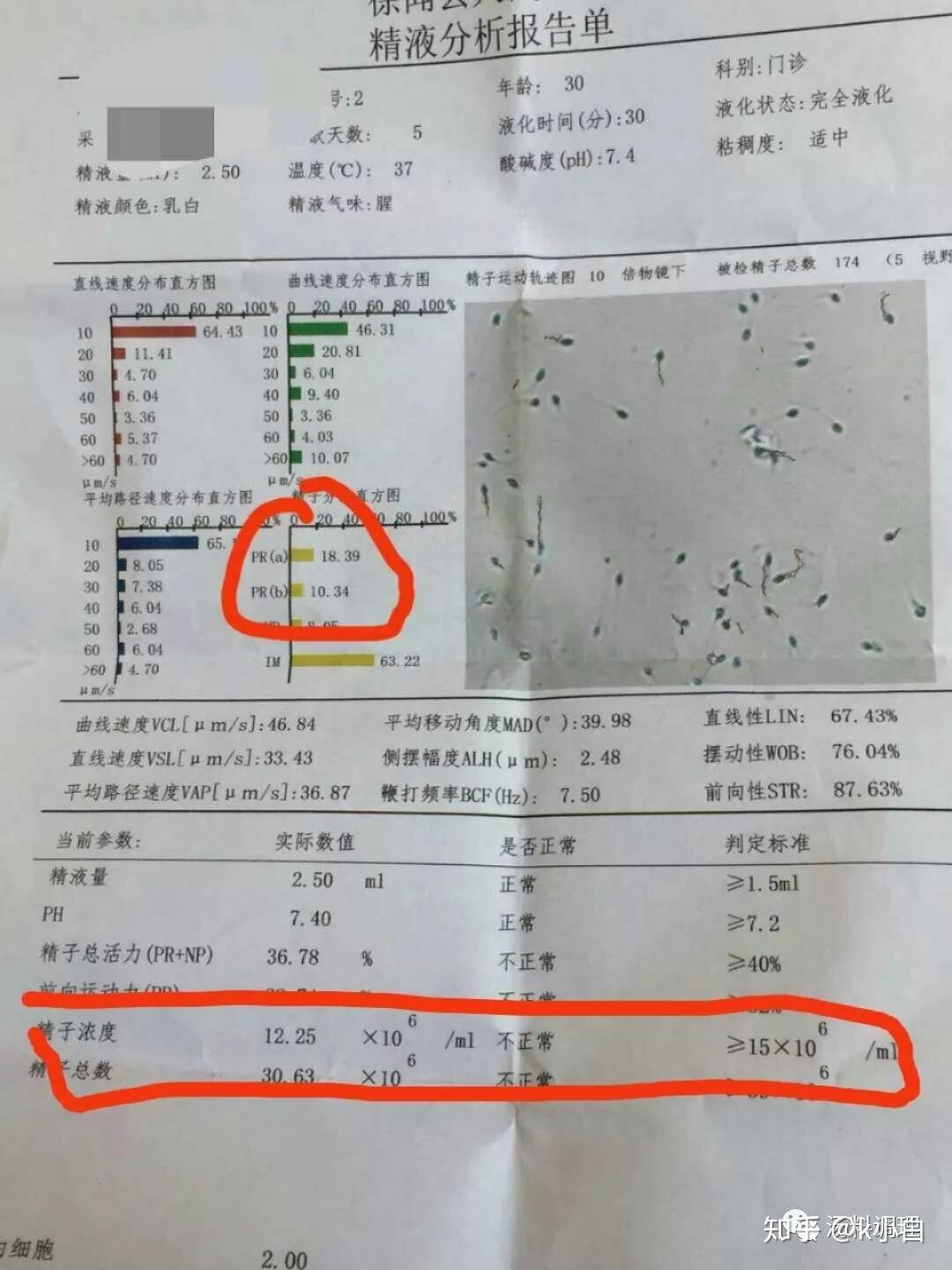 湖北武汉单身女性做试管