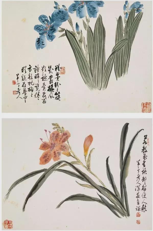 陳半丁  花卉圖 陈半丁花卉小品，干净，雅致！ - 知乎