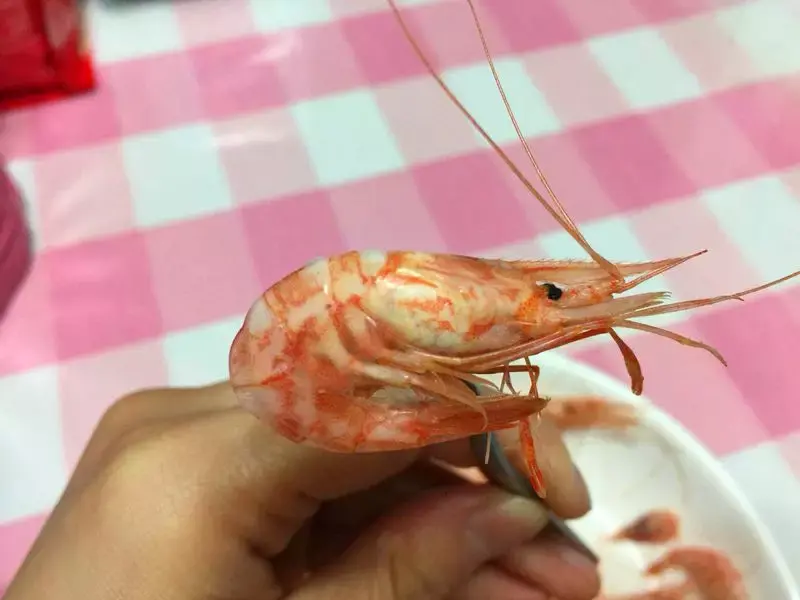 虾有百媚千红我只爱你这款红丝头