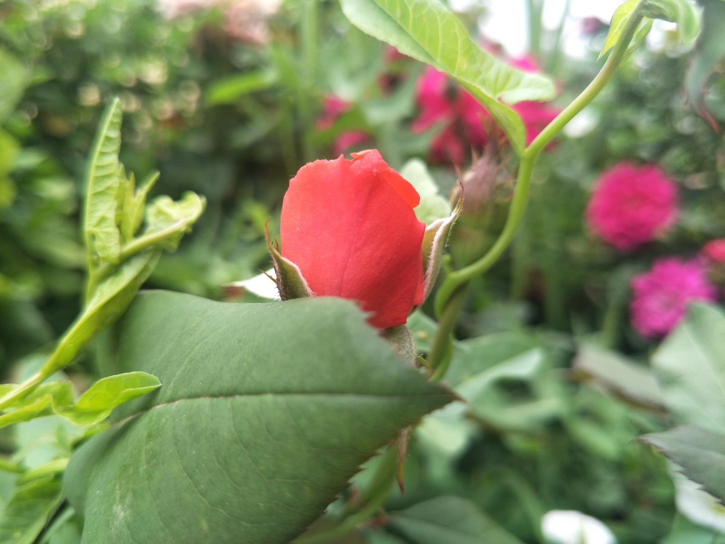 一个草根的日常杂碎 11月日 知乎 一个草根的日常杂碎 11月日 知乎