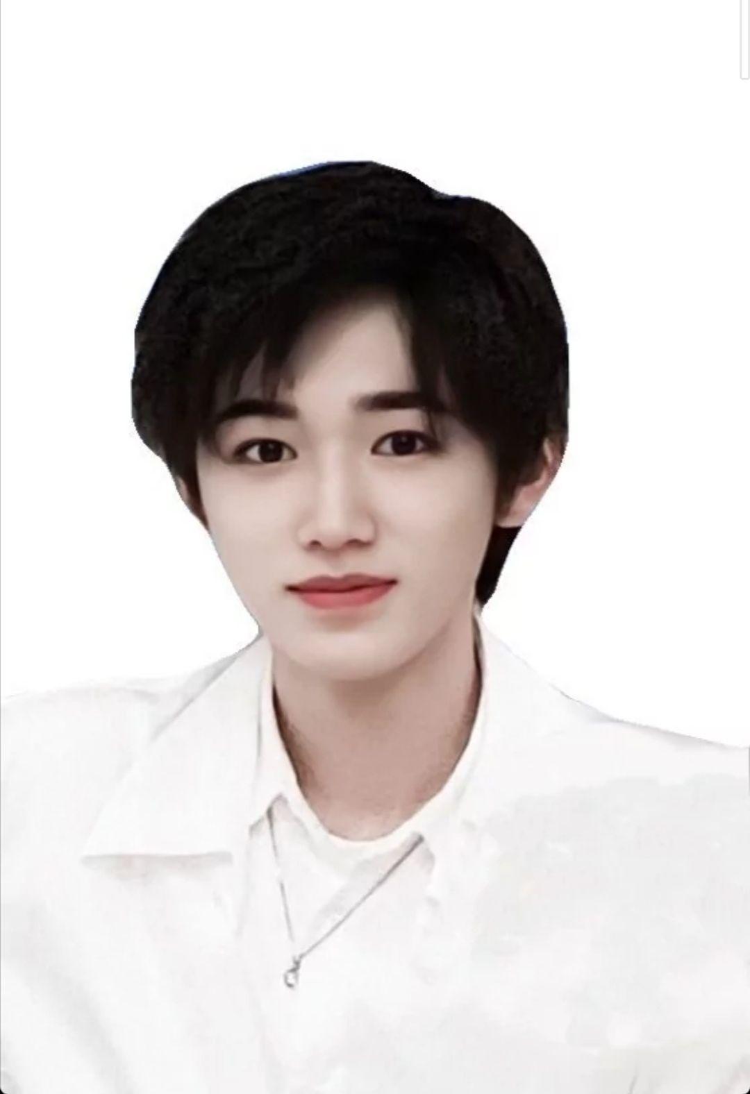 tnt时代少年团证件照 照片 无水印