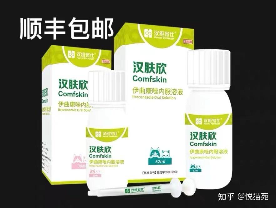 猫咪长皮肤病怎么办