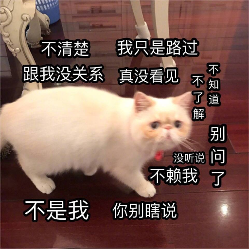 柯北西东