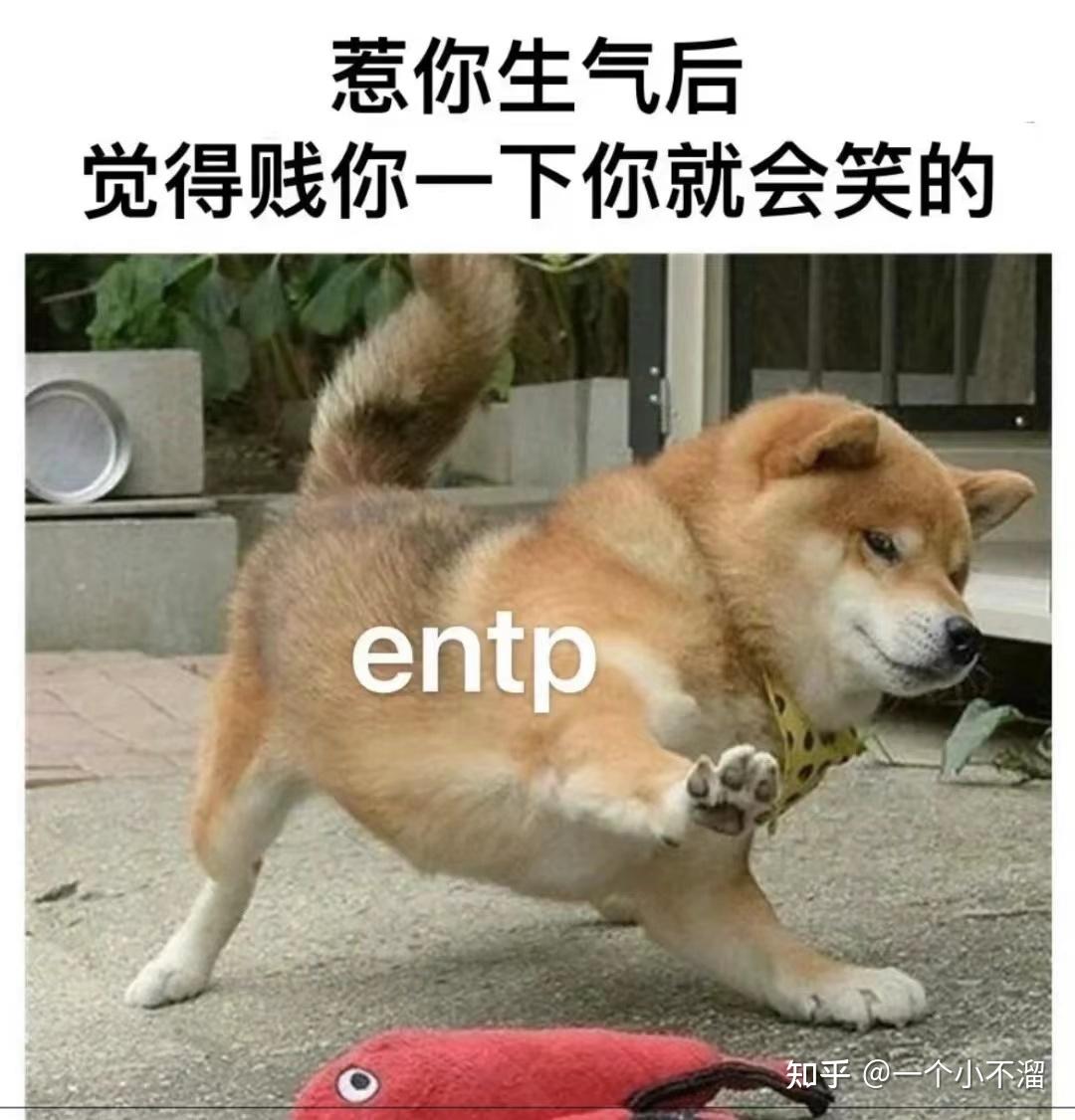 如何辨别ENTP性格的人? - 知乎