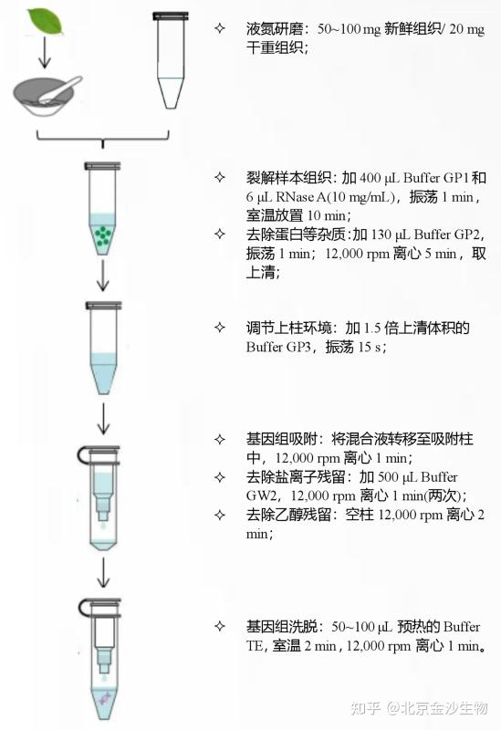 小知识 | 基因组DNA提取那些事(二) - 知乎