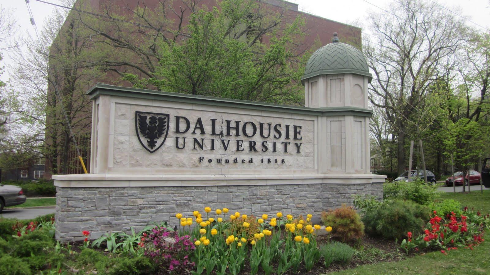 dalhousie school of social work continuing education