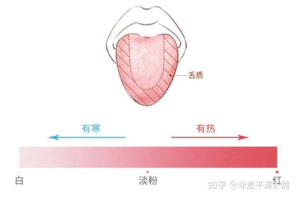 一看就懂|简单实用的舌诊图谱大全，教你快速识别疾病！ - 知乎