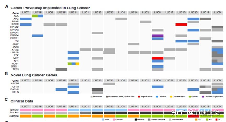 Genomic Landscape of Non-Small Cell Lung Cancer in Smokers and Never ...