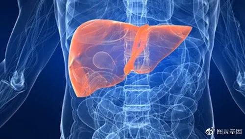 v2-067d0ddf8927202513576c454b22c503_1440w.jpg?source=172ae18b