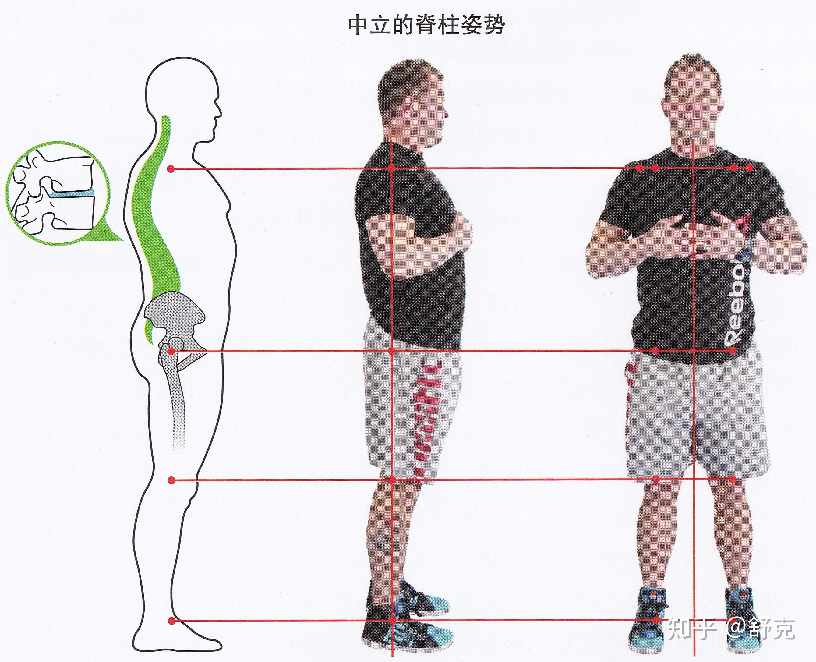 【深度】：什么是脊柱中立位，你真的了解吗？ - 知乎