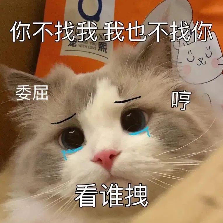 120张万能的表情包推荐-万能表情图片大全