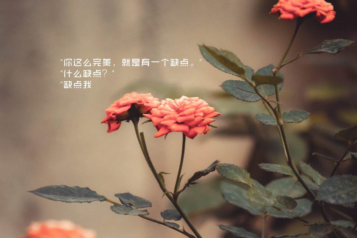 2020年专属情侣土味情话合集收藏收藏