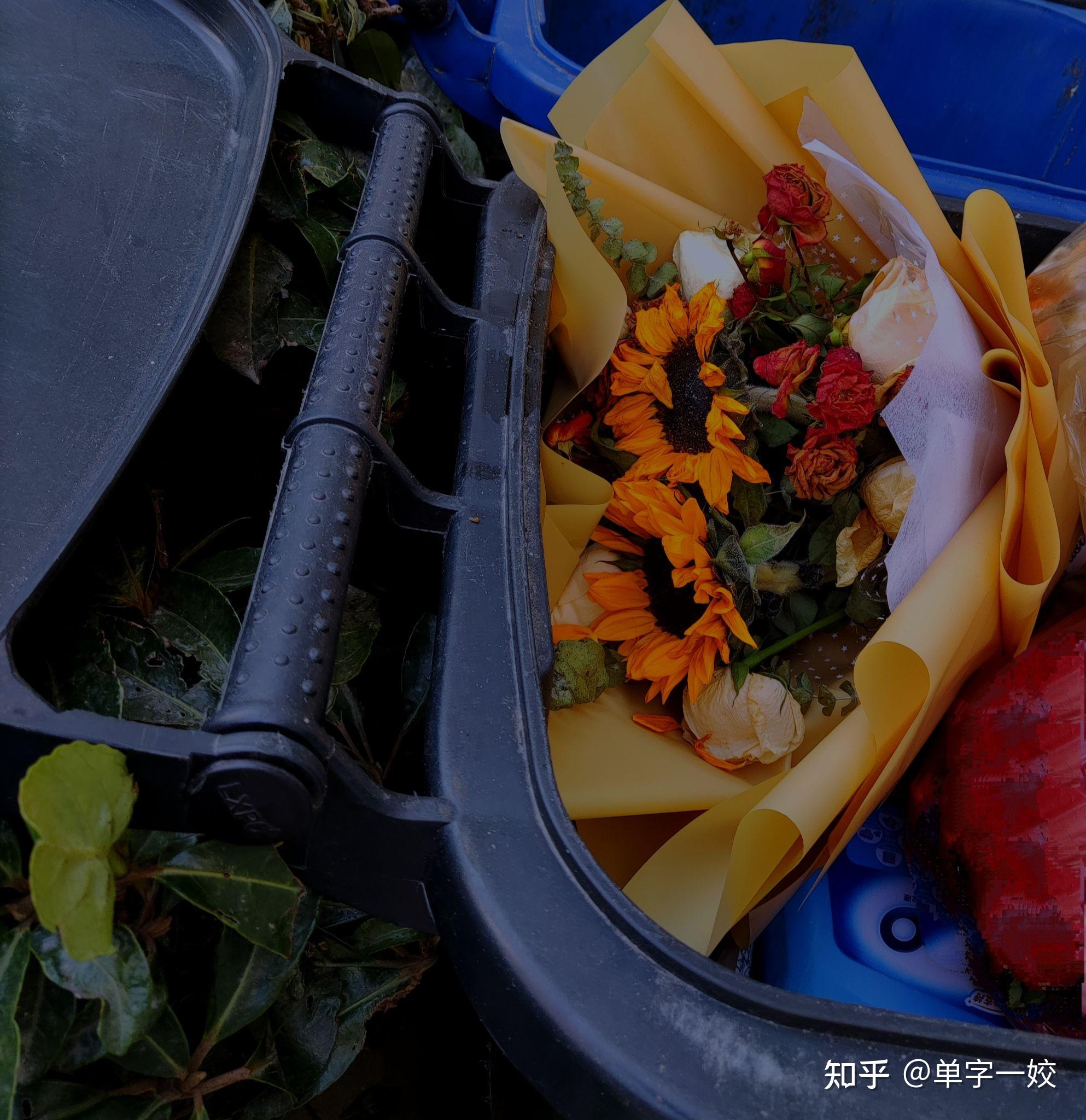 你送的花被她扔掉了你的爱也是