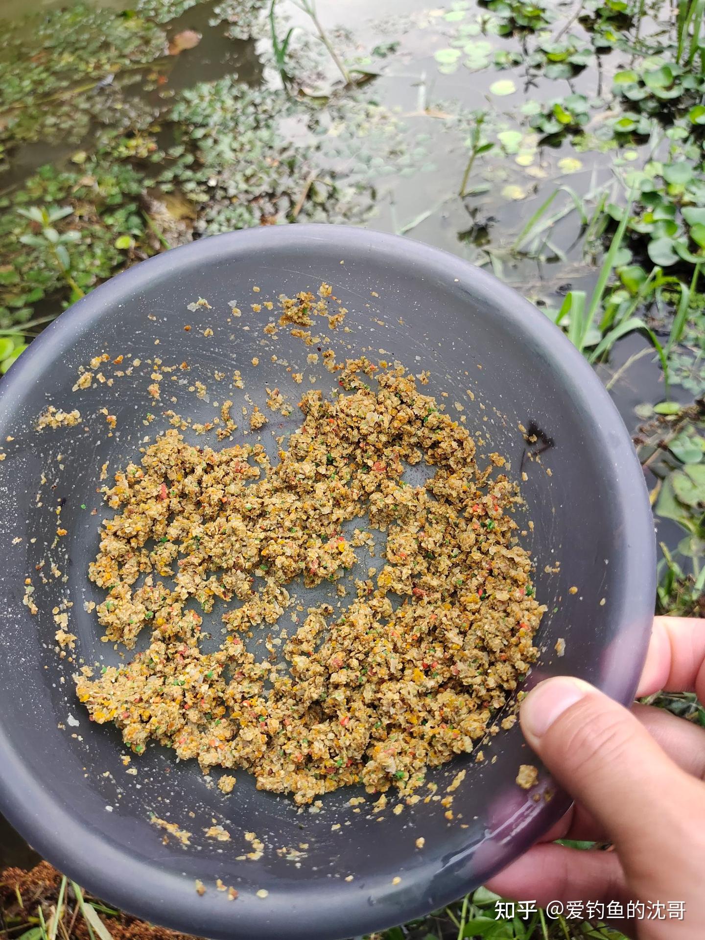使用饵料的妙招 - 知乎