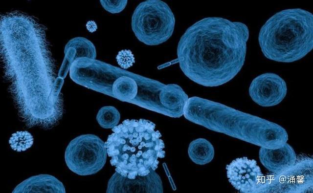 病毒、细菌、病菌、微生物、毒素各有什么区别？ - 知乎
