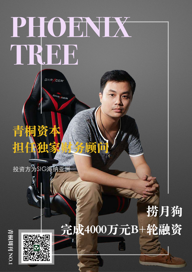 青桐资本分享从知名游戏解说到准独角兽ceo我们和痞子狼聊了聊他的