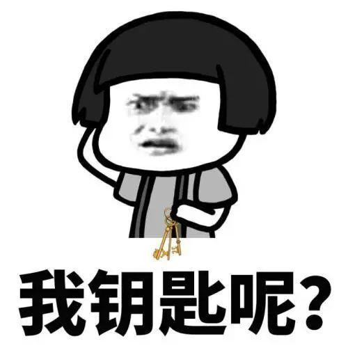 03,关门后忘带钥匙险