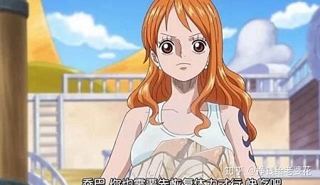 海贼王20年了娜美的爱到底给了谁