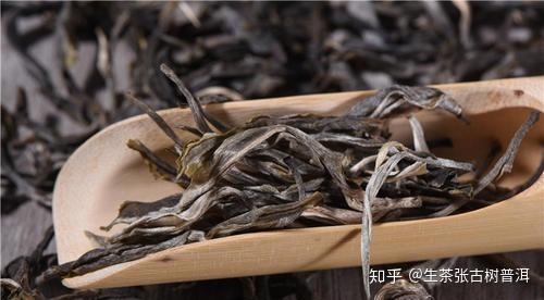 云南普洱茶：古老与现代的交融