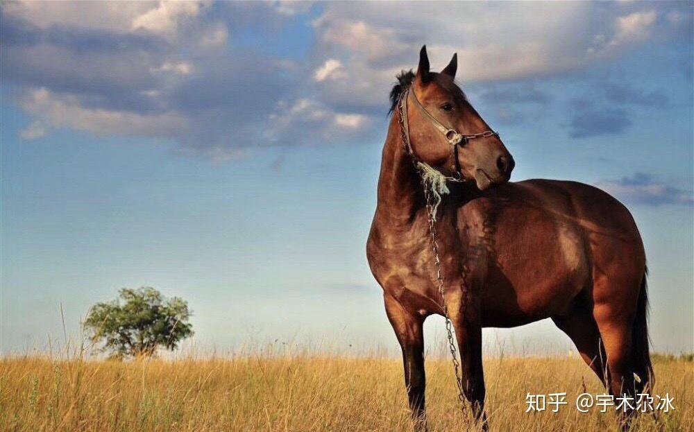 准又何妨象士谨守将两旁兵不回头大河过车水马龙东风破楚河汉界兵分离