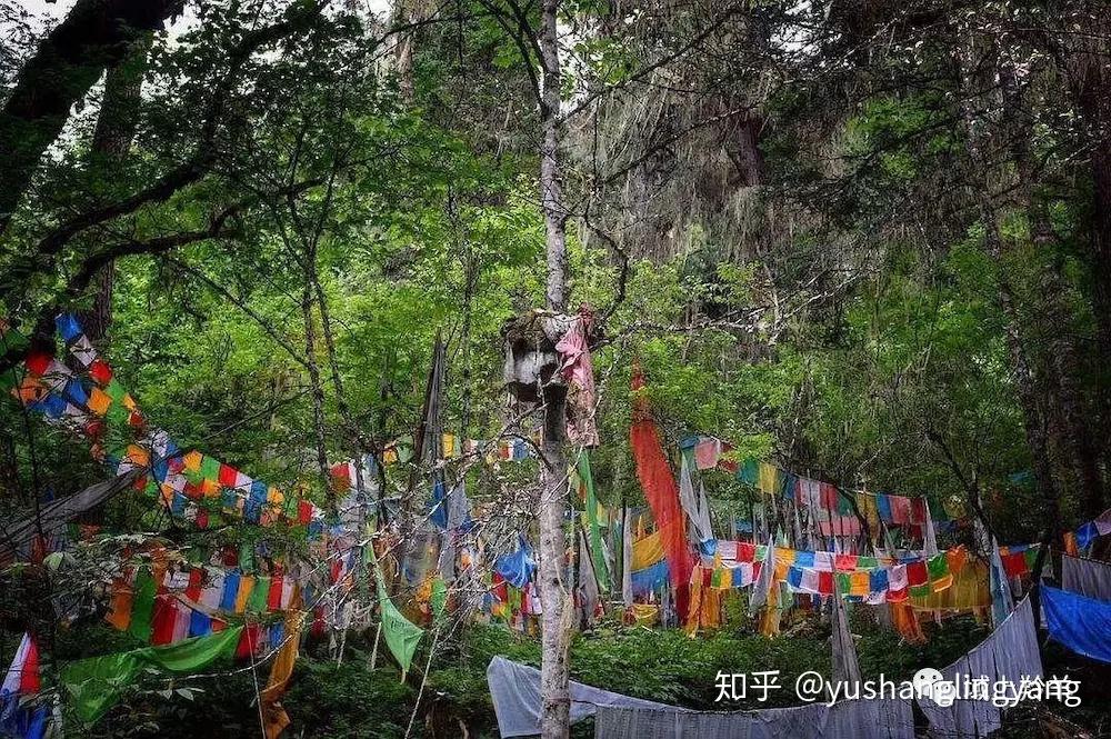 在这里,有一片传统的树葬林,树枝上面挂着一个个小包裹,里面装的都是