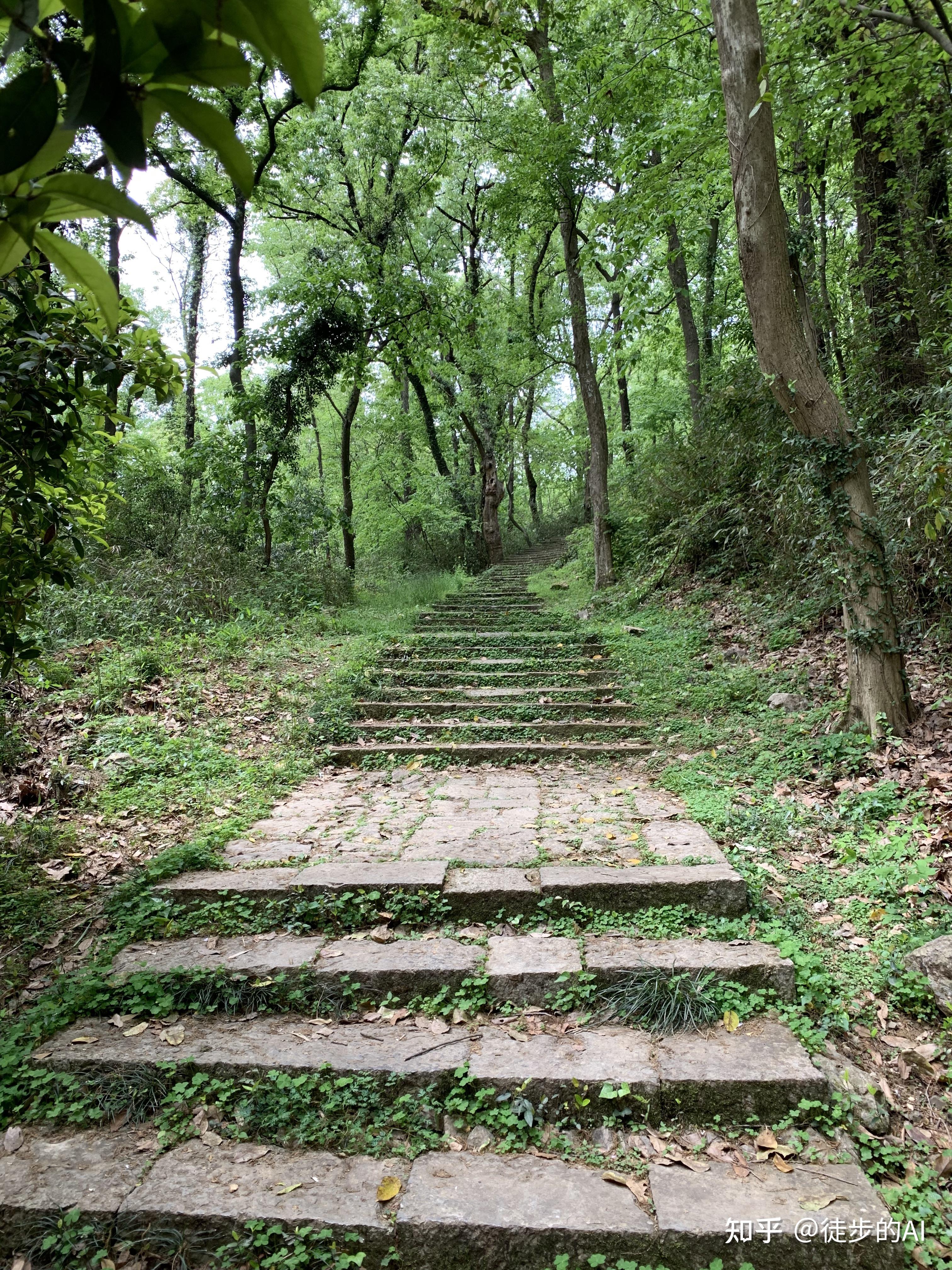 闲林附近爬山景点图片