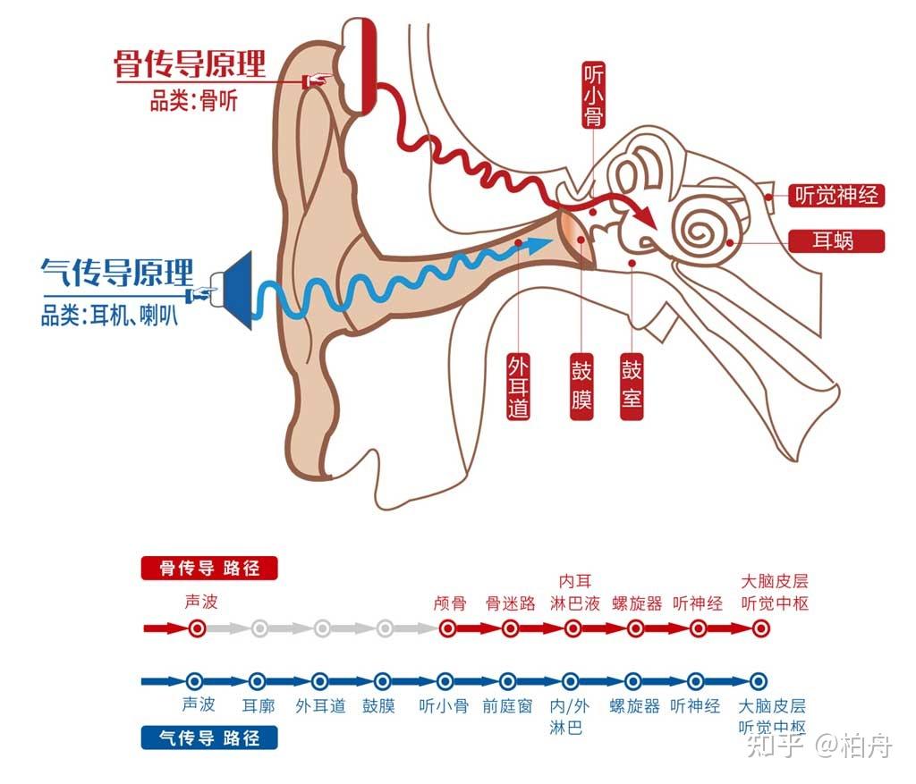 楼层声音传播图图片