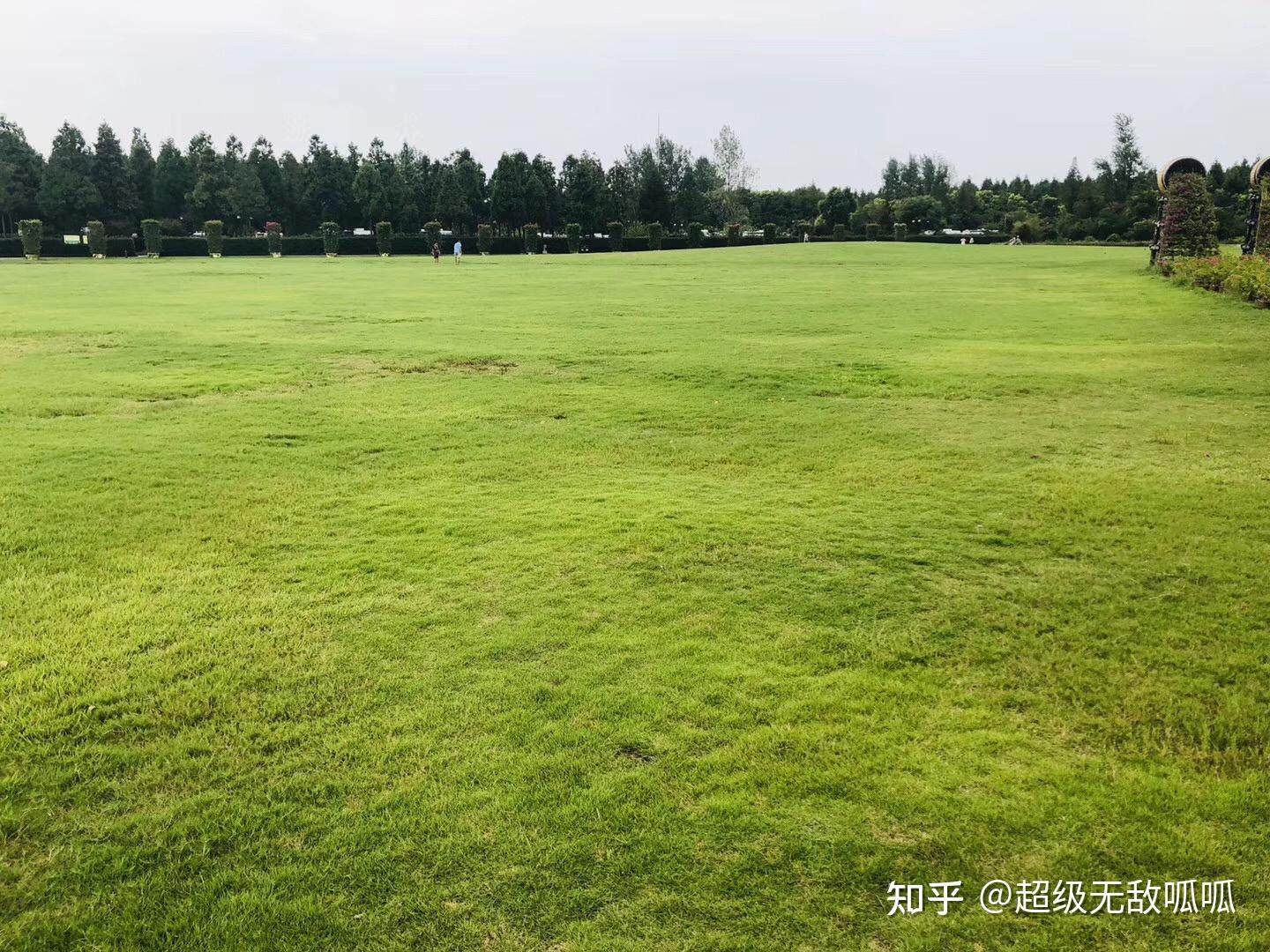 上海长兴岛团建拓展活动:桔园农庄营地攻略 - 知乎