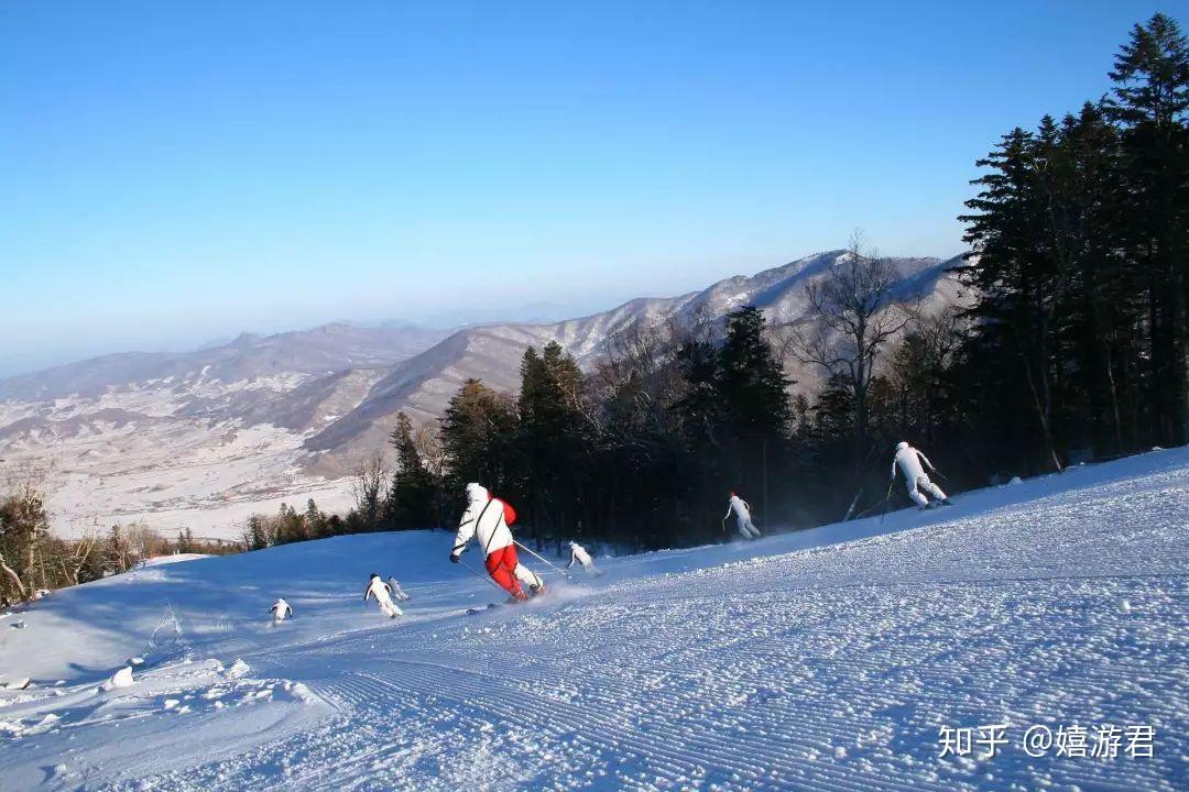 江浙沪滑雪场居然这么多?红黑榜看这篇就够了! - 知乎