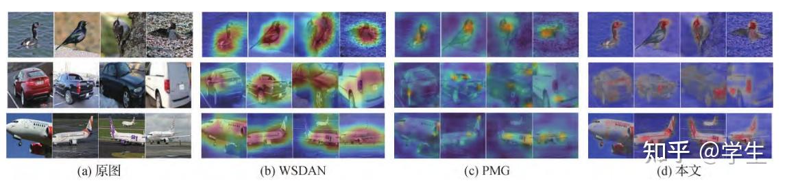 选择并融合粗细粒度特征的细粒度图像识别 - 知乎