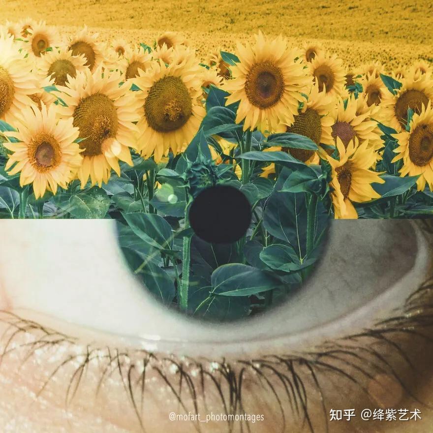 16幅关于眼睛的错觉创意让你打开想象的翅膀换一个视角看世界