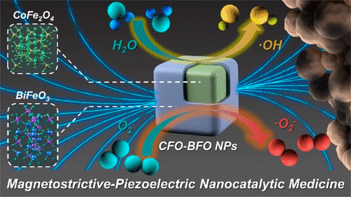 nanolett中科院上海硅酸鹽所林翰施劍林磁致伸縮壓電觸發納米催化腫瘤