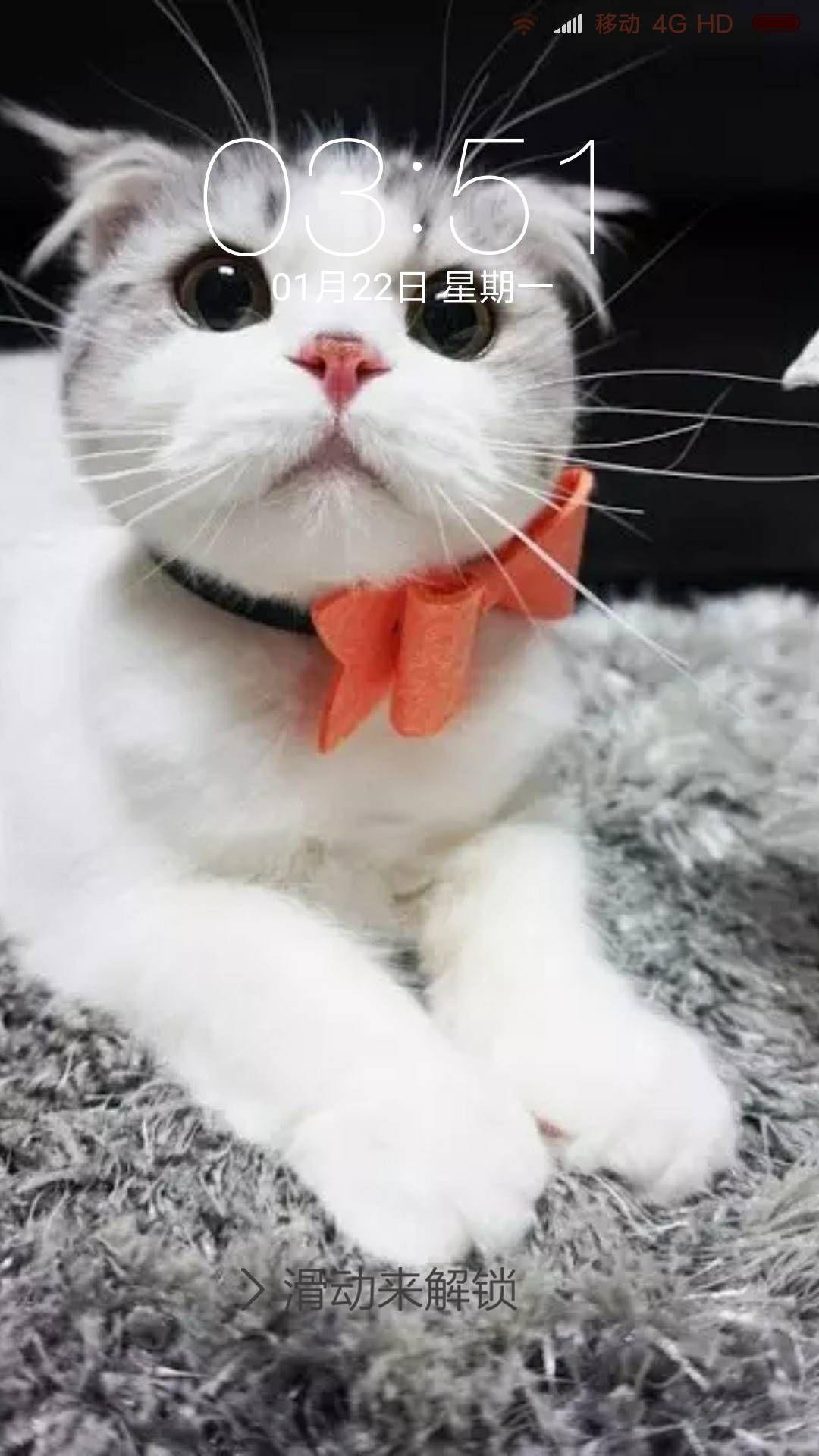 喵云怎么用 v2-073b109d0a95de1f97b33c9f6bc6a5dd_r.jpg