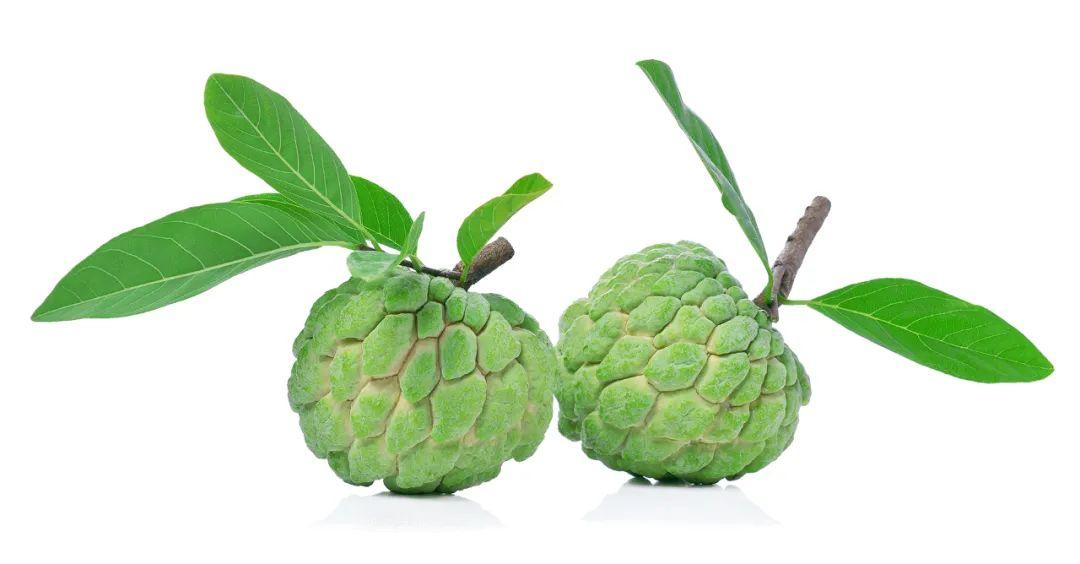 Sugar Apple