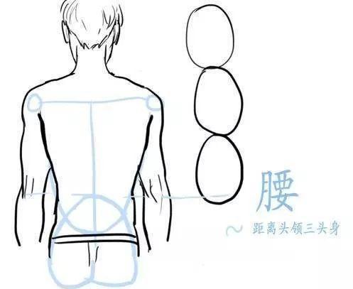 怎么画好头肩比例呀