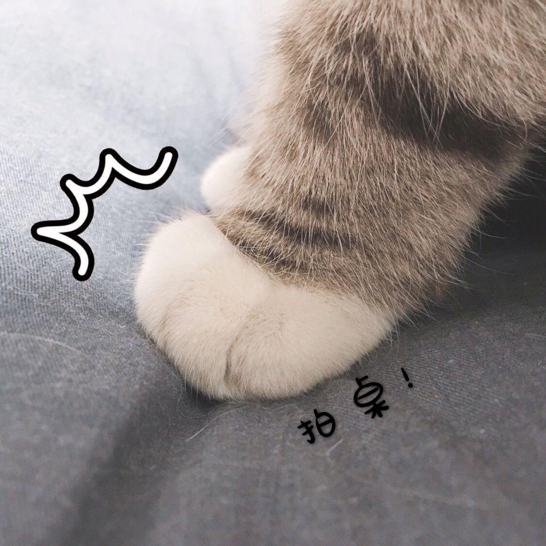 被吸毒的老公打了,我该怎么办?