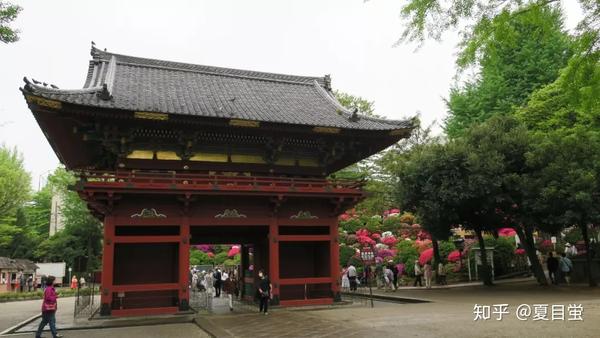 东京 根津神社 杜鹃花丛中的散步 根津神社 东煤网