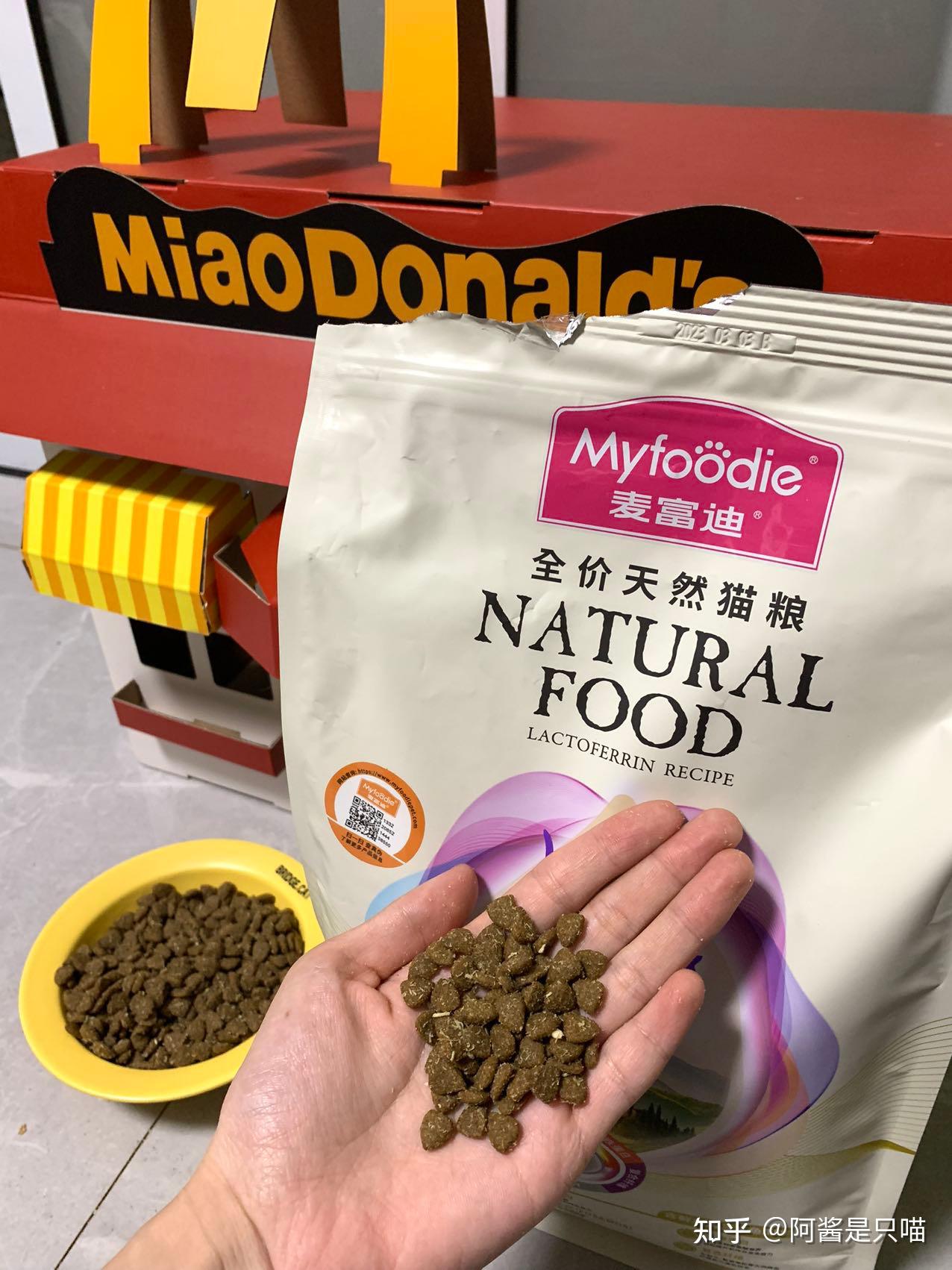 猫咪免疫力低怎么补救?乳铁蛋白猫粮有用吗?