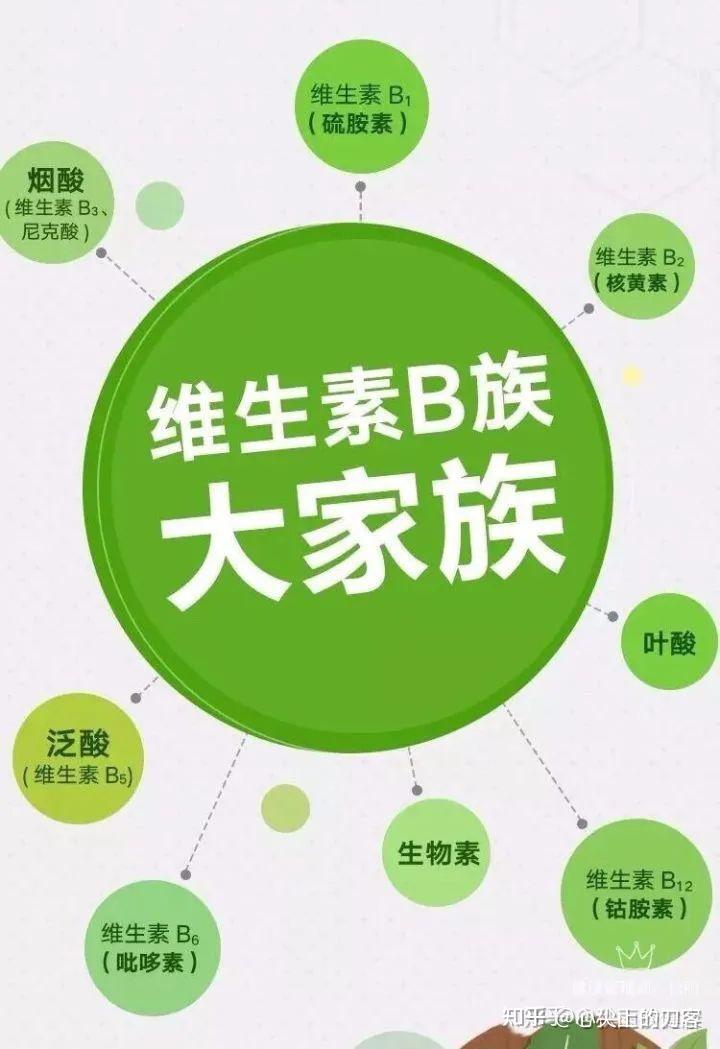 B族维生素与神经系统疾病 - 知乎