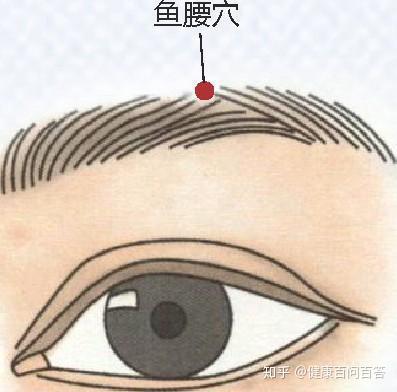 【每日一穴】预防近视眼，怎样正确按摩鱼腰穴？ - 知乎