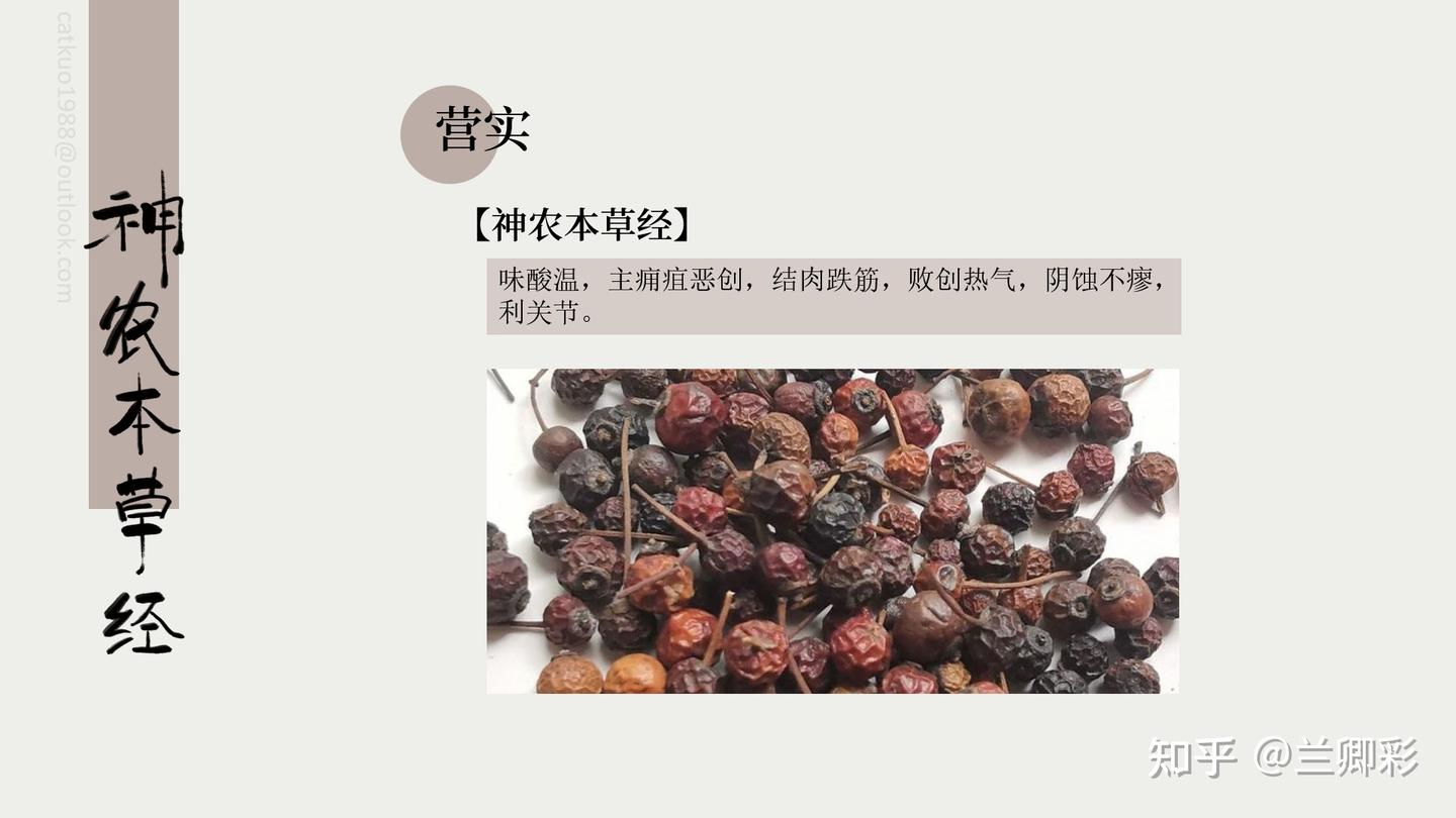 《神农本草经》-上经·营实 - 知乎
