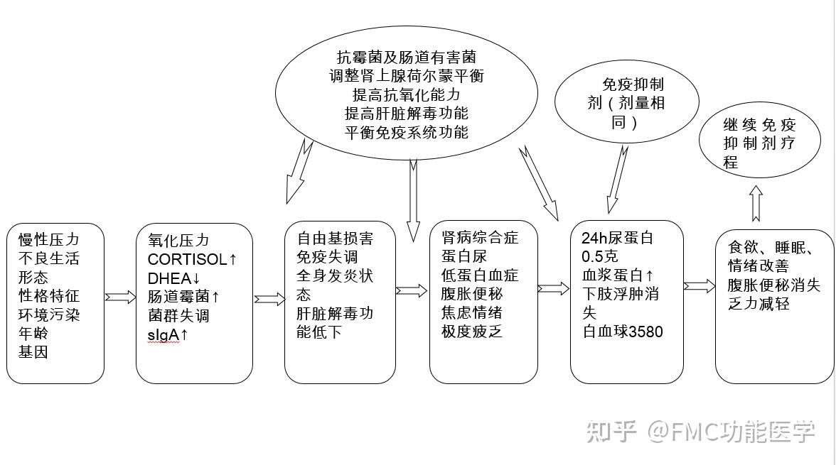 【案例分享】功能医学的诊疗思维模式解析 - 知乎